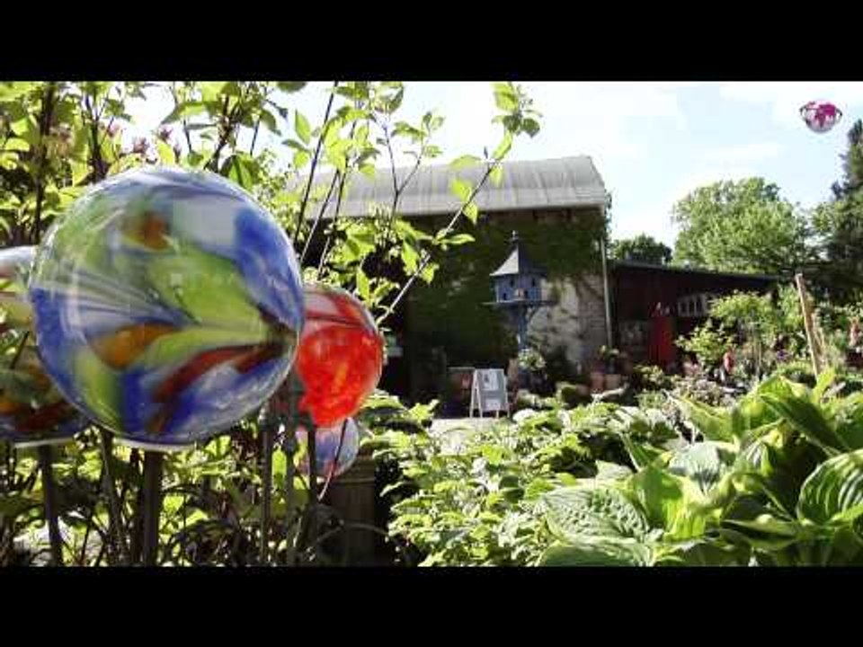 Mutter Fourage / videoscout-it