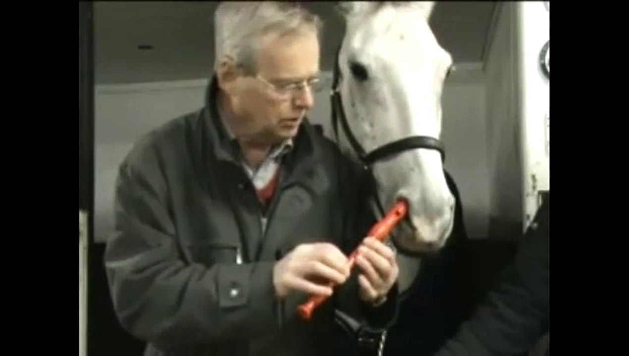 Un cheval joue de la flute ... Impressionnant