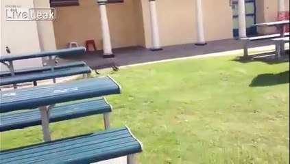 Papy se bat contre un serpent qui l'ennuie !