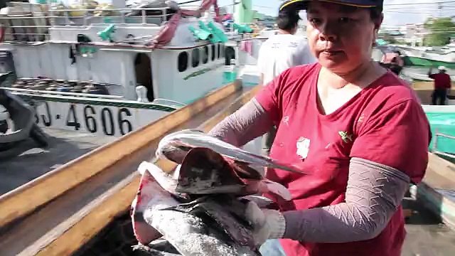 Ces images vous dégoûteront d’être un humain.