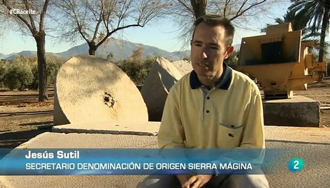 El zumo milenario - aceite de oliva