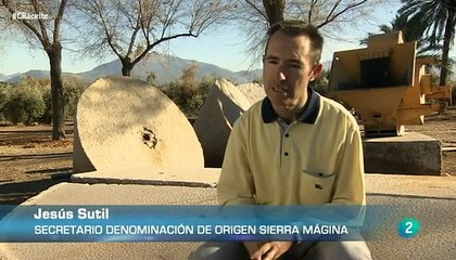 El zumo milenario - aceite de oliva