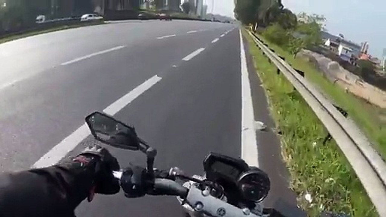 Des motards bloquent l'autoroute pour sauver un chien