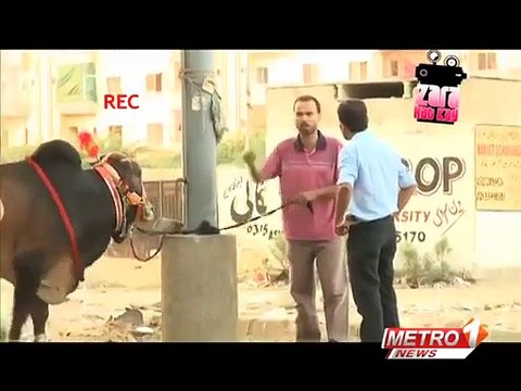 funny ZARA HUT KAY cow new funny pakistani clips