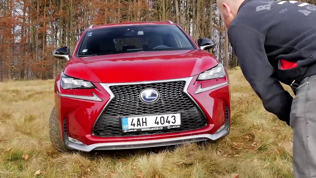 Lexus_NX_300h