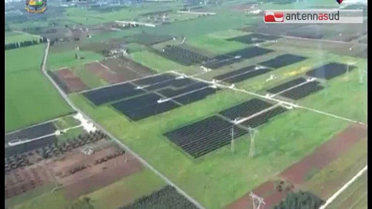 TG 11.03.15 Brindisi: strage di ulivi per far spazio a pannelli fotovoltaici