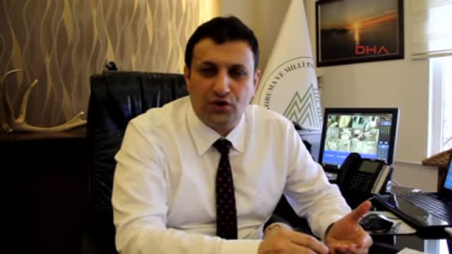 Ordu Milli Parklar Müdürü: Üreme Dönemindeki Yaban Domuzlarına Yaklaşmak Tehlikeli