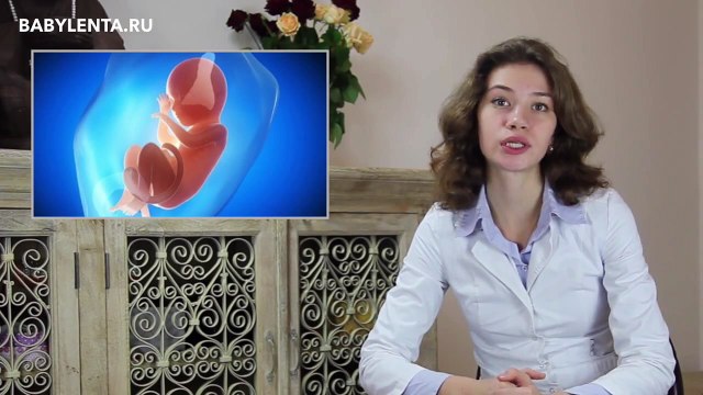 26 неделя беременности развитие плода