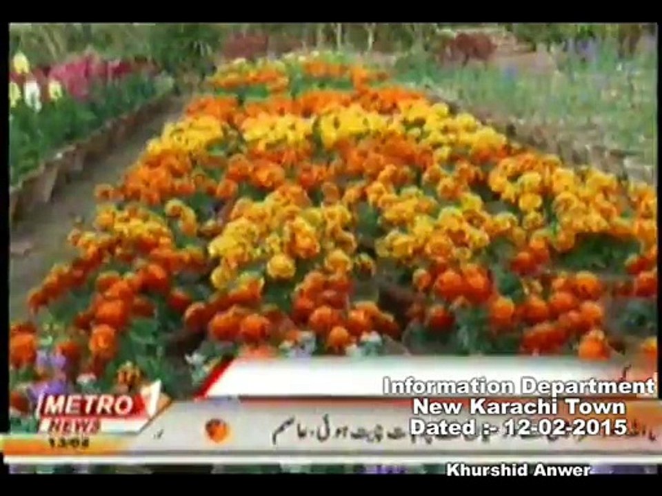DMC Central Metro One Baldiyati Khabren( Flowers Making North Nazimabad) 12-02-2015