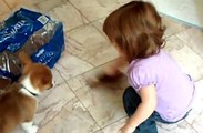 Toddler Uses Old Irish Relic to Taunt Puppy