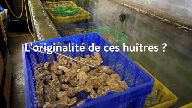 La belle Fermanvillaise