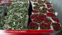 Rusya'dan Türkiye'ye çiçek sürprizi
