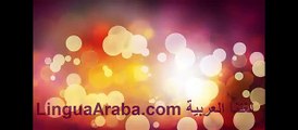 Consigli per iniziare a studiare la lingua araba - Lezioni di arabo