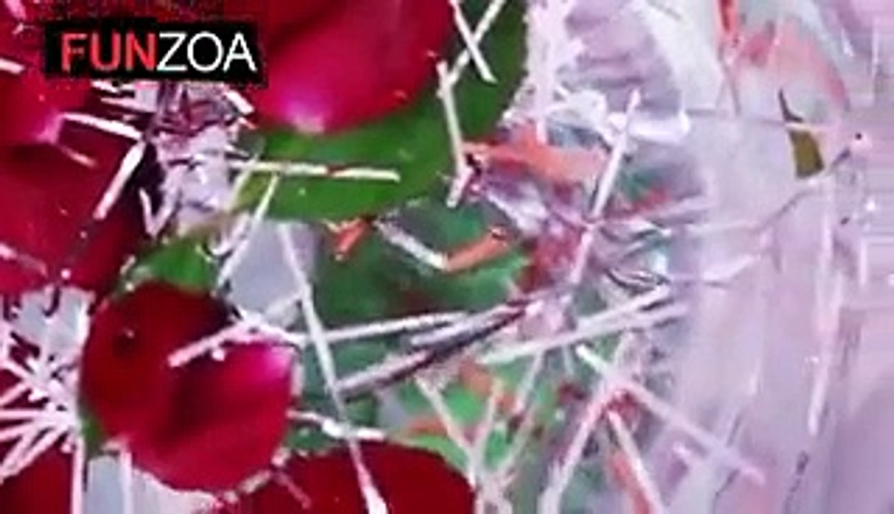 funny song