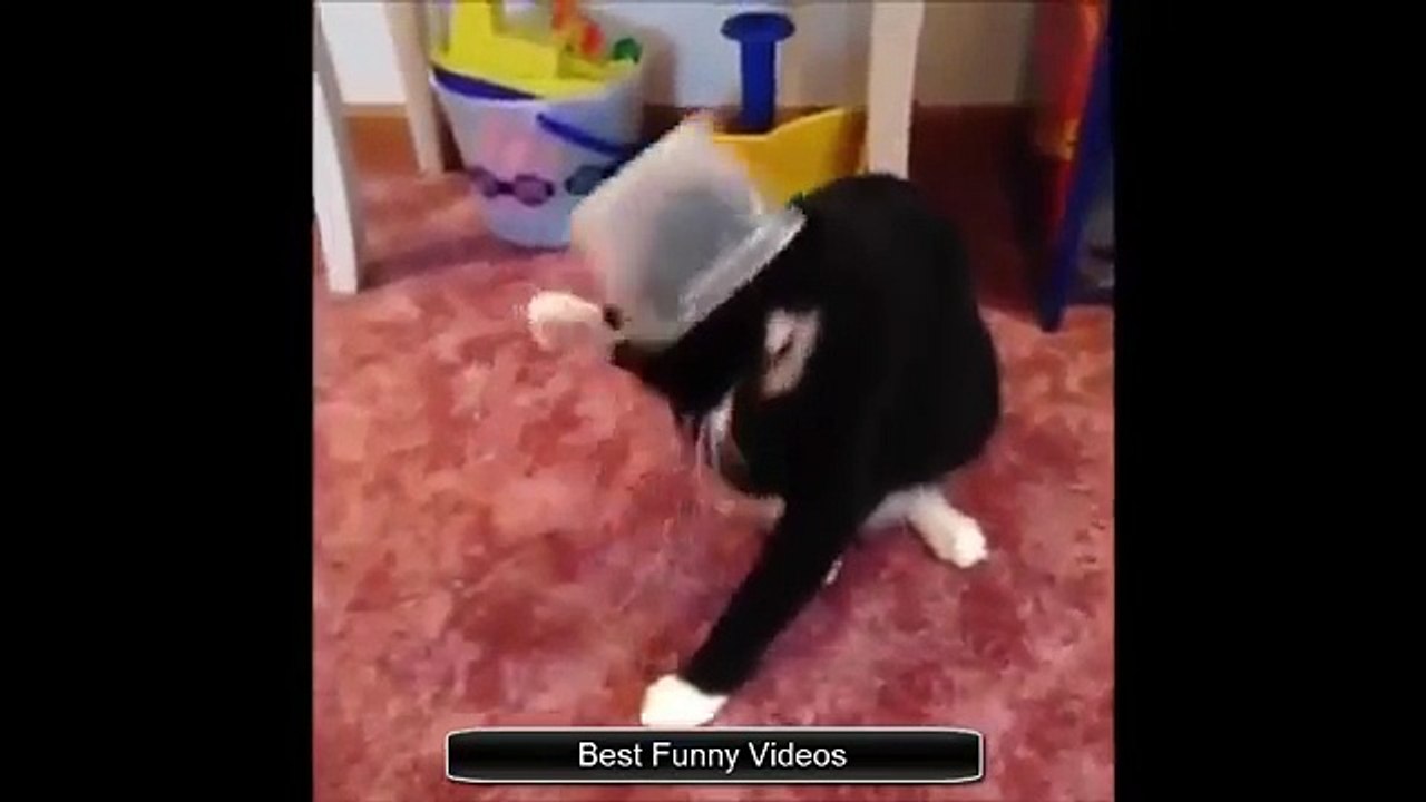 k4_HDTV