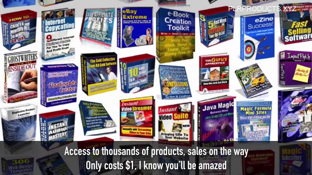 PLR - Over 8,000 PLR and Resale Rights Products for $1