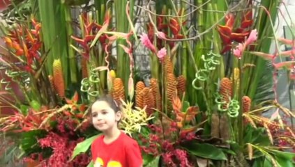 Sydney Easter Show 2 of 3, 13 Mar 2014