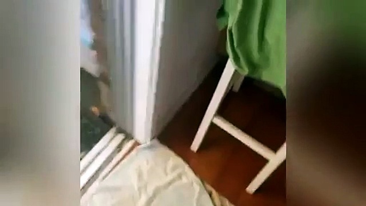 Un python de 2 mètres dans une boîte de céréales