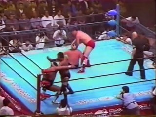 Best of Steve Williams & Terry Gordy