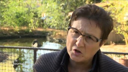 Départementales : Interview de Marie-Françoise Michenaud