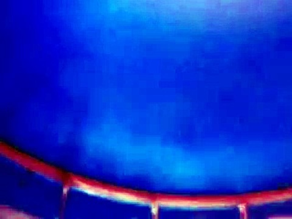 クリオネの神秘　（水族館、深海、ペット、海、動画、魚、生物）
