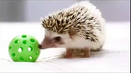 tháo lắp điều hoà tại trần phú 0986687668 - Video Dailymotion