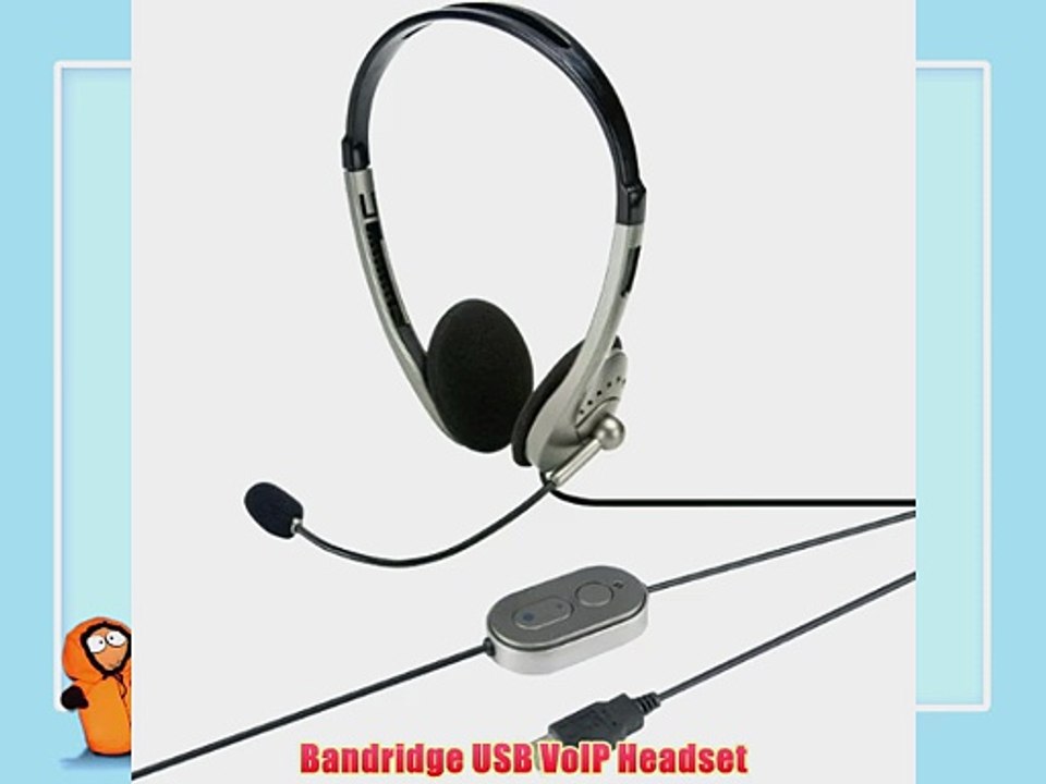 Bandridge USB VoIP Headset