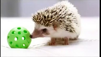 tháo lắp điều hoà tại trần cung 0986687668 - Video Dailymotion