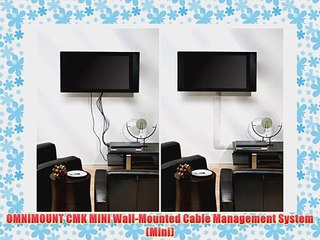 OMNIMOUNT CMK MINI Wall-Mounted Cable Management System (Mini)