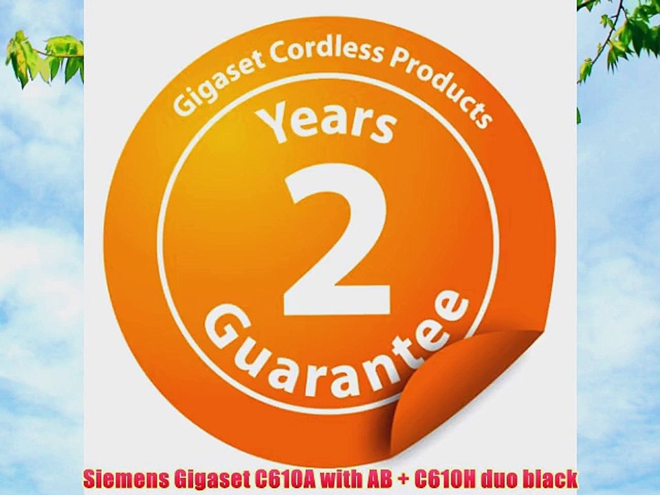 Siemens Gigaset C610A with AB   C610H duo black