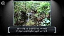 10 Discoveries Unexplained By Science