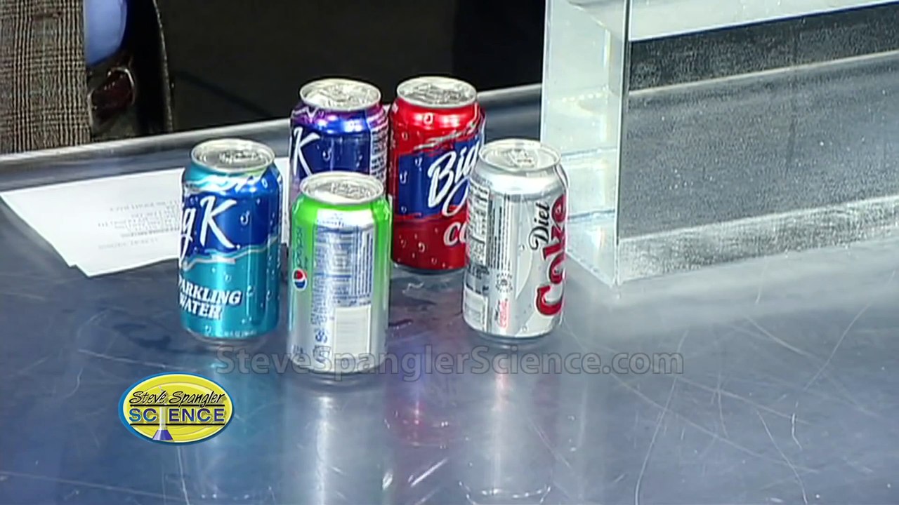 Float or Sink - Cool Science Experiment