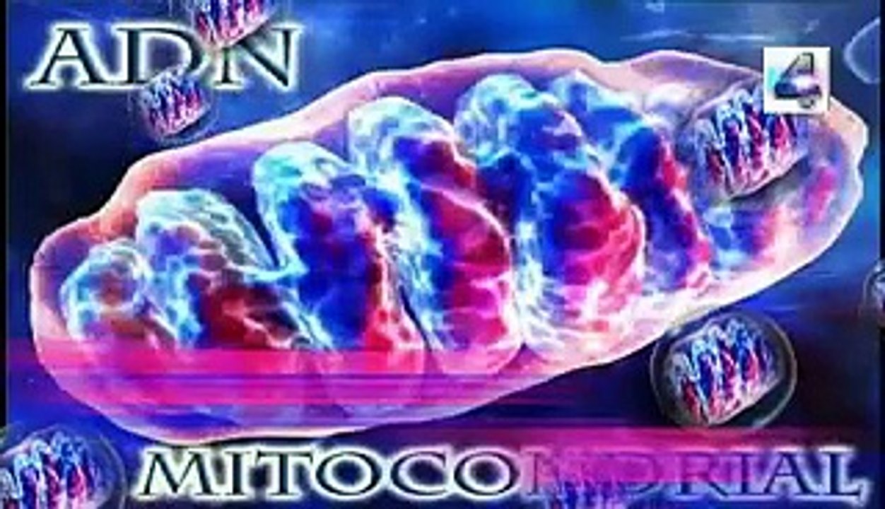 la juventud biologica , hermafrodita famoso, Misterios y Enigmas, Español latino