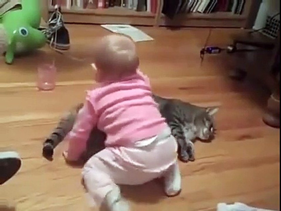 Funny Baby And Cute Cat