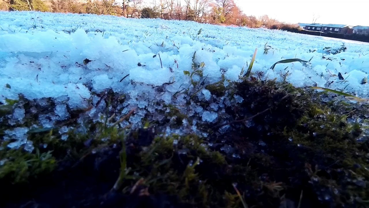 snowy local 2015-01-14