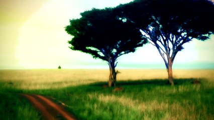 Whistling Down The Road