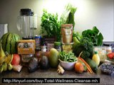 total wellness cleanse yuri elkaim review