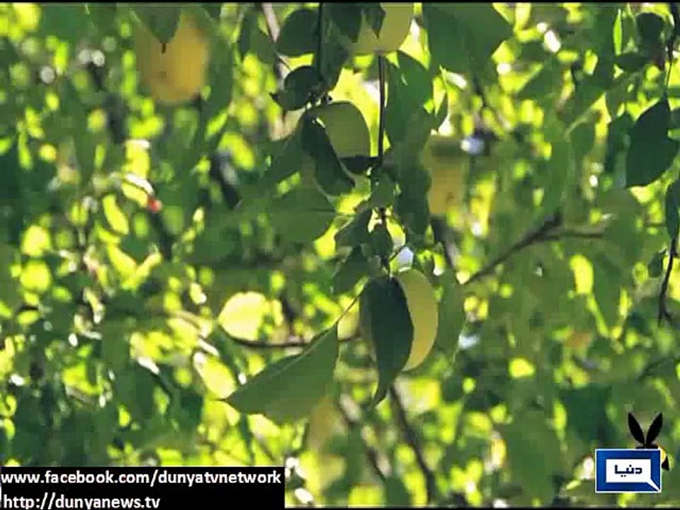 Apple juice better cure for cancer than chemotherapy - Chinese Experts