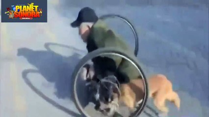 DOG HELPS ELDERLY.