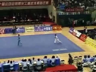 Damn Good Wushu Fight Dance