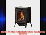 Arlington Direct Vent Cast Iron Gas Stove Color: Black Fuel Type: Natural Gas