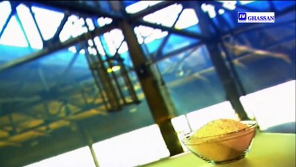 كيف يصنع هذا  الطحين مدبلج لعربية - HD 720