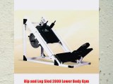Hip and Leg Sled 2000 Lower Body Gym