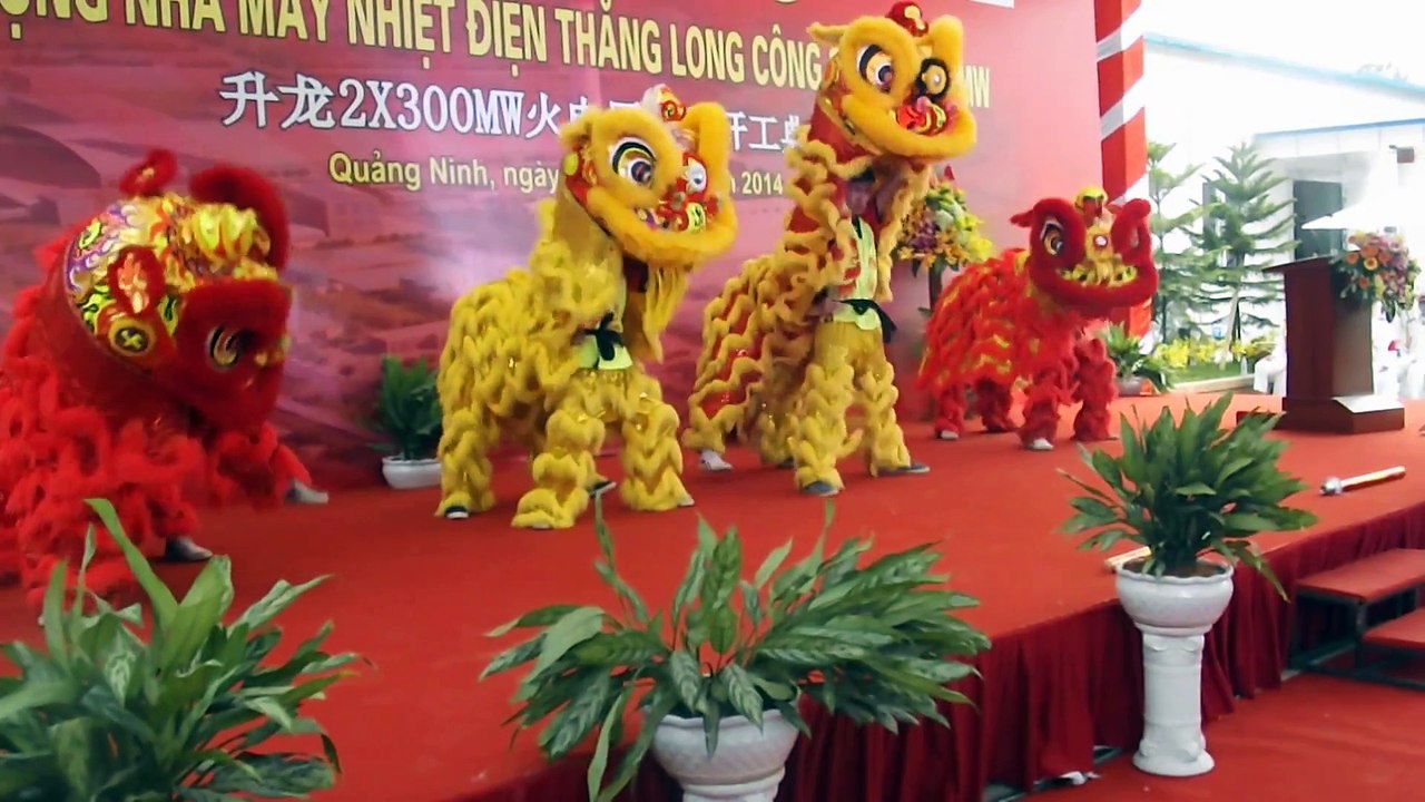 THUÊ MÚA LÂN GIÁ RẺ 0972263280