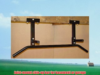 Joist Mount Chin Up Bar
