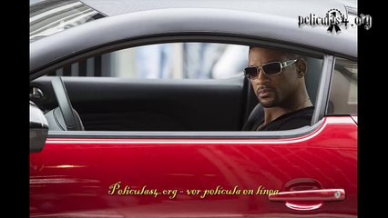 Focus Maestros de la Estafa latino pelicula online gratis