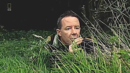 Tank Versus Apache Helicopter