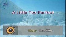 A Little Too Perfect - Sam Milby