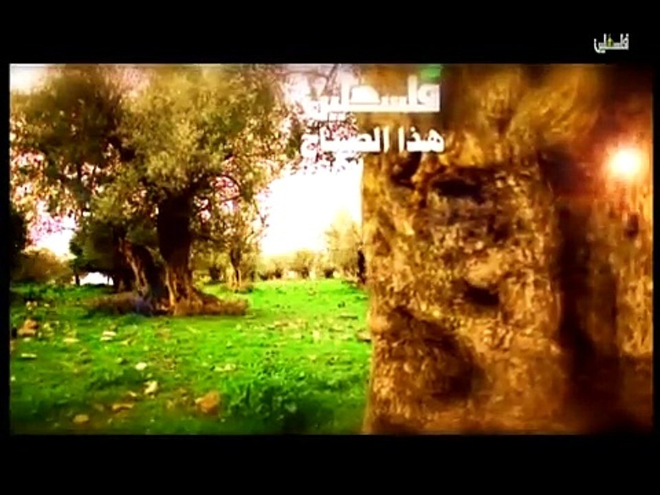 هذا الصباح -11-3 الاربعاء ج1