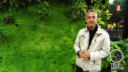 Jardin-Mur végétal